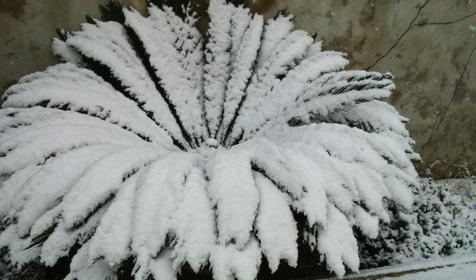 Частный дом Маргарита, г. Сочи