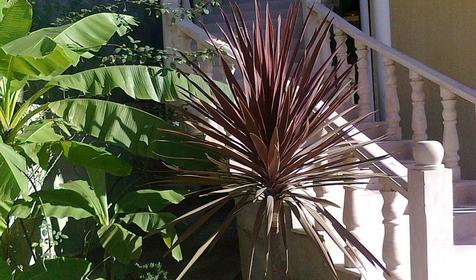 Частный дом Маргарита, г. Сочи