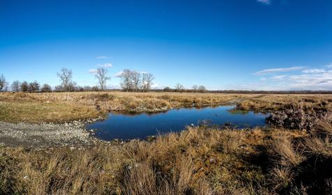 Мостовской район