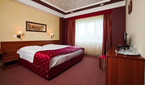Номер Улучшенный стандарт. Отель Премьер-отель, г. Краснодар