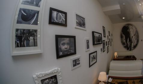 Кафе Белый слон. Гостевой дом Alex Home. Туапсе. Небуг