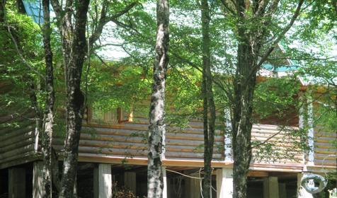 комфорт 3х комнатный