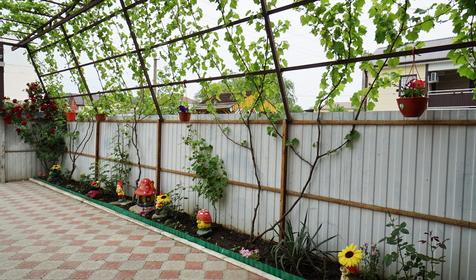 Гостевой дом Алина, Джубга