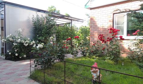 Стандарт+ в домике