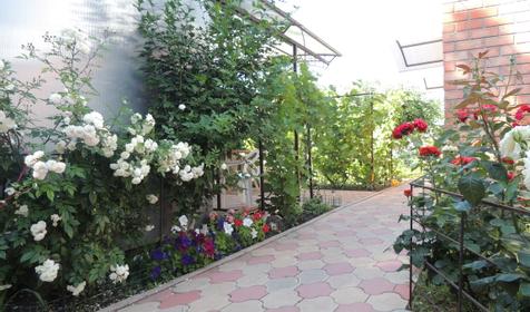 Стандарт+ в домике