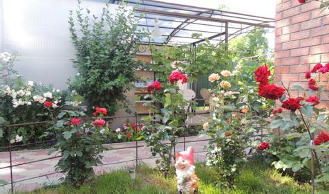 Стандарт+ в домике