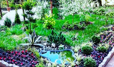 Гостевой дом Kovcheg Alliance, Сочи, п. Кудепста