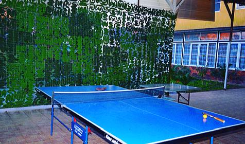 Гостевой дом Kovcheg Alliance, Сочи, п. Кудепста