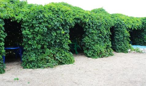 Отдых у Татьяны