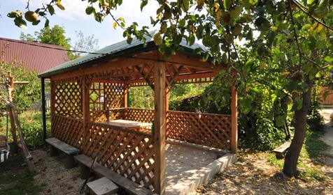 Большой дом