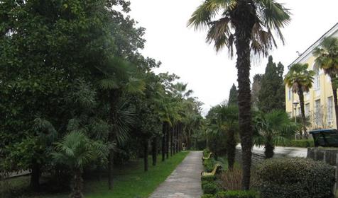 Санаторий Кудепста, Сочи, пос. Кудепста