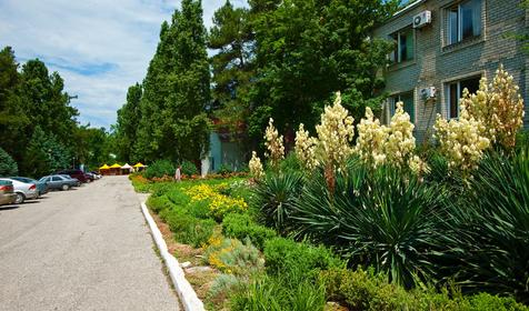 Пансионат Энергетик, г. Геленджик, с. Дивноморское