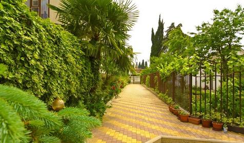 Адлер-НаИгМа