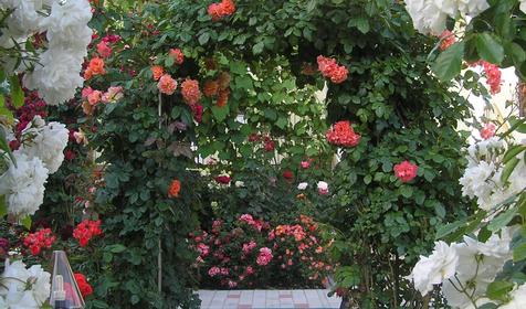 Гостевой дом Визит, г. Анапа, п. Витязево