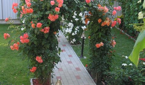 Гостевой дом Визит, г. Анапа, п. Витязево