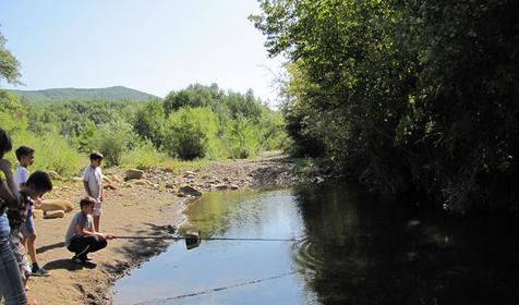 Гостевой дом "Поляна Убинская"