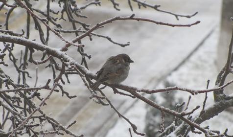 Гостевой дом "Поляна Убинская"