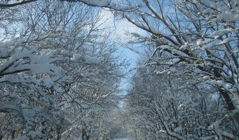 Гостевой дом "Поляна Убинская"