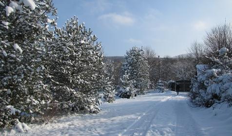Гостевой дом "Поляна Убинская"