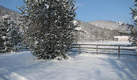 Гостевой дом "Поляна Убинская"