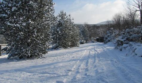 Гостевой дом "Поляна Убинская"
