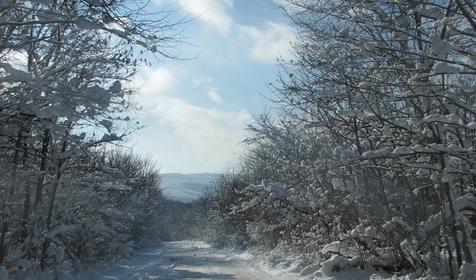 Гостевой дом "Поляна Убинская"