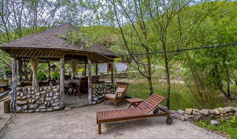 Яблочный гусь