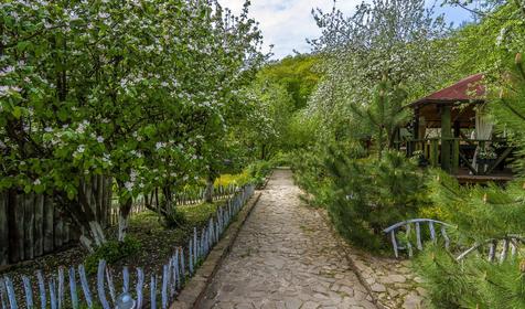 Яблочный гусь