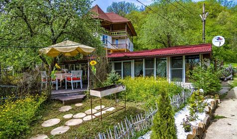 Яблочный гусь