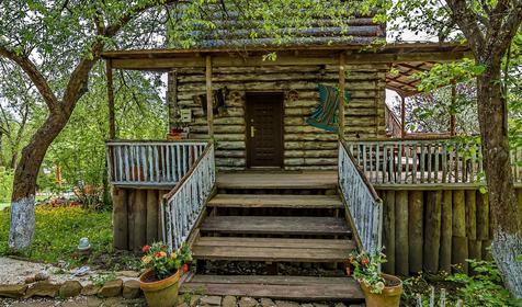 Яблочный гусь