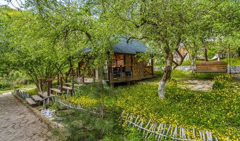 Яблочный гусь