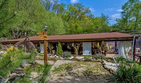 Яблочный гусь