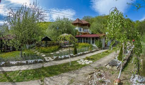 Яблочный гусь