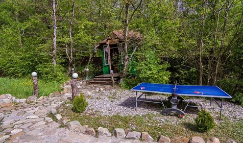 Яблочный гусь