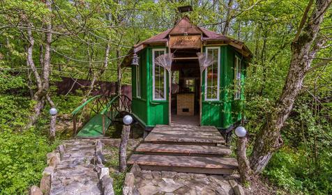 Яблочный гусь