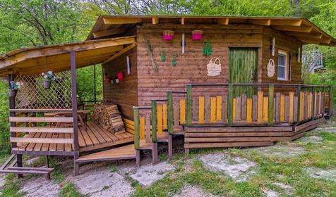 Яблочный гусь