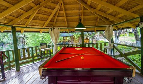 Яблочный гусь