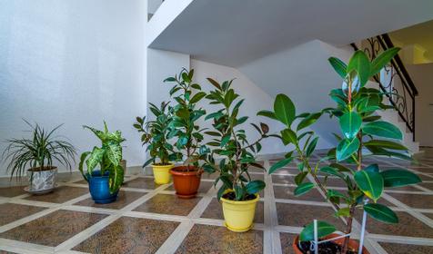 Гостиница Ласковый берег, г. Анапа, пос. Сукко