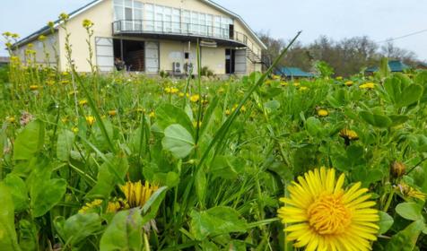 Конный клуб Владимировка, ст. Убинская