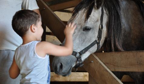 Конный клуб Владимировка, ст. Убинская