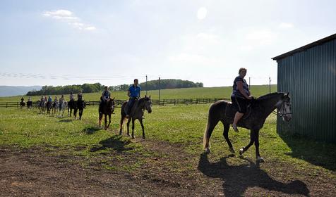 Конный клуб Владимировка, ст. Убинская
