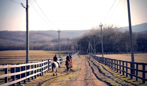 Конный клуб Владимировка, ст. Убинская