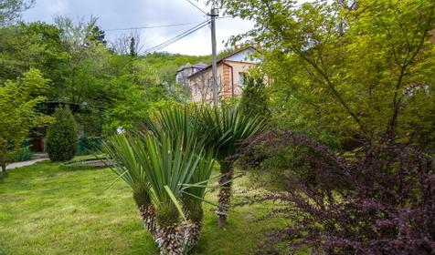 Гостевой дом Сезон, Туапсинский район, с. Ольгинка