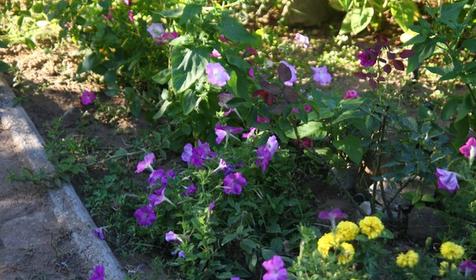 Мини-гостиница Анна, Темрюкский р-н, п. Кучугуры