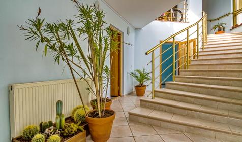 Мини-отель Вилла-Агрия, Туапсинский р-н, пос. Ольгинка