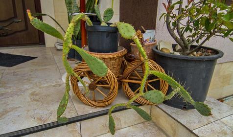 Гостевой дом Морской отдых, Туапсинский район, п. Ольгинка