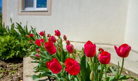 Гостевой дом Нирвана, г. Новороссийск, с. Южная Озереевка