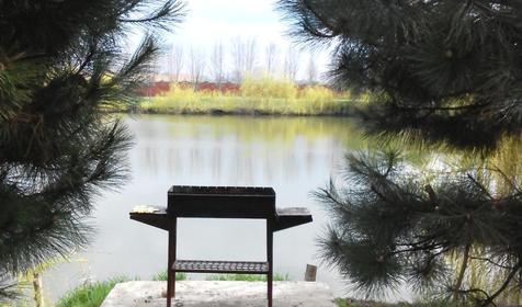 Тихая гавань