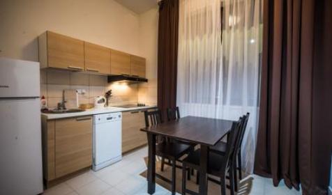 Двухкомнатные апартаменты. Отель Гелиопарк Вальсет Роза Хутор