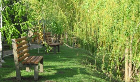 База отдыха Тихая гавань, ст. Медведовская